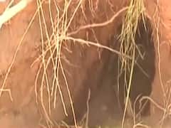 Intelligence Agency finds out cross-border tunnels dug by Pakistan along LoC