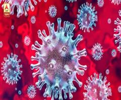 করোনা সংক্রমণে জোর টক্করে কলকাতাকে - উত্তর ২৪ পরগনা, এগিয়ে কোন জেলা?