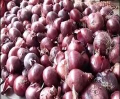 TOP 50 | सकाळच्या 50 महत्त्वाच्या बातम्यांचा वेगवान आढावा | सुपरफास्ट बातम्या | 20 ऑक्टोबर 2020