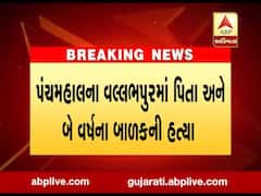 પંચમહાલના વલ્લભપુરમાં પિતા અને બે વર્ષના બાળકની હત્યા, જુઓ વીડિયો