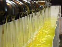 તહેવારો નજીક આવતા જ સીંગતેલ અને કપાસિયા તેલના ભાવ વધ્યા