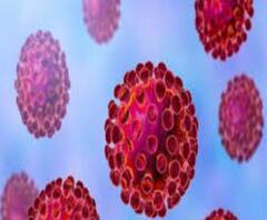 বিশ্বে বাড়ল দৈনিক করোনা আক্রান্তের সংখ্যা ও মৃত্যু, কমল দৈনিক সুস্থতা 