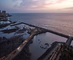 वृक्षतोडीवरून सेनेची दुतोंडी भूमिका? कारशेडला विरोध मग कोस्टल रोडसह इतर कामांसाठी वृक्षतोडीला मंजुरी का?