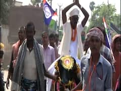 People's Party Of India (Democratic) candidate rides bullock before nomination filing