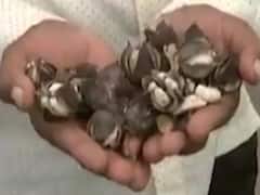 મારુ ગામ, મારી વાતઃ માણસા તાલુકાના રિદ્રોલ ગામના ખેડૂતોની શું છે સમસ્યા?