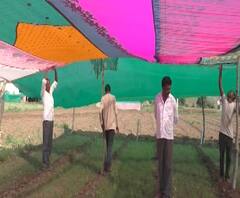 शेती जगत | शेती क्षेत्रातील घडामोडींचा वेगवान आढावा | 28 ऑक्टोबर 2020