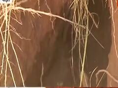 देखें देश और विदेश की 25 बड़ी खबरें फटाफट स्टाइल में 