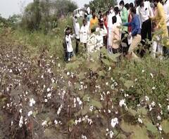 Rural News | माझं गाव माझा जिल्हा | राज्याच्या कानाकोपऱ्यातील बातम्यांचा आढावा | 21 ऑक्टोबर 2020