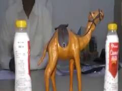  કચ્છઃ કેમલ મિલ્કનું ચીઝ લોંચ કરશે સરહદ ડેરી, જુઓ વીડિયો