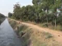 અરવલ્લીઃ મેશ્વો ડેમમાંથી રવિ પાક માટે છોડાયું પાણી, 40 ગામોને મળશે લાભ