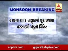 કચ્છના રાપર તાલુકામાં છૂટાછવાયા વરસાદથી ખેડૂતો ચિંતિત, જુઓ વીડિયો 