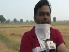 સાબરકાંઠાઃ પાછોતરા વરસાદે ખેડૂતોને રાતા પાણી રડાવ્યા,જુઓ વીડિયો