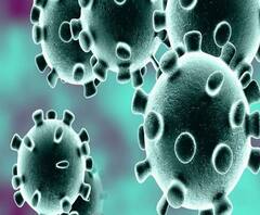 করোনায় মৃত্যু-সংক্রমণে দেশে ২ নম্বরে বাংলা!