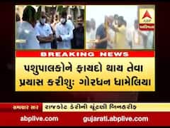 રાજકોટ ડેરીના નવા ચેરમેન બન્યા ગોરધન ધામેલિયા, જુઓ વીડિયો