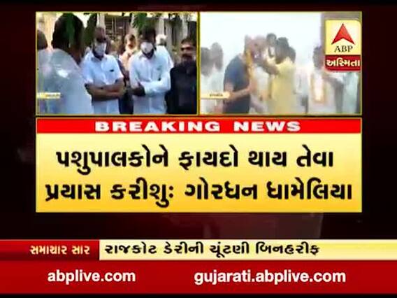 રાજકોટ ડેરીના નવા ચેરમેન બન્યા ગોરધન ધામેલિયા, જુઓ વીડિયો