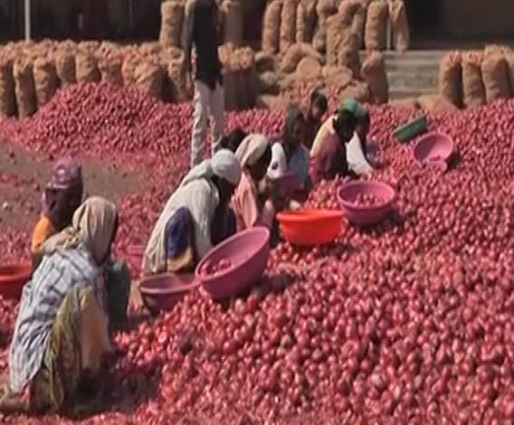 Onion Price | कांदा उत्पादक देशांना पायघड्या, भारताकडून कांद्याच्या आयातीवरील शुल्क माफ