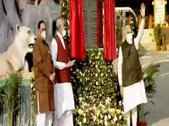 PM Modi inaugurates Jungle Safari in Gujarat's Kevadia