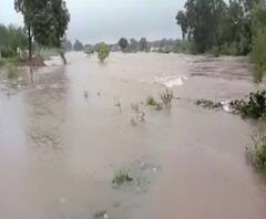 Maharashtra Monsoon | राज्यावर कमी दाबाच्या पट्ट्याचं सावट; सर्वदूर मुसळधारेचा इशारा