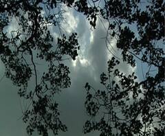 করোনার কড়াকড়ির মধ্যেই আরও মন খারাপ করবে আবহাওয়া দফতরের পূর্বাভাস