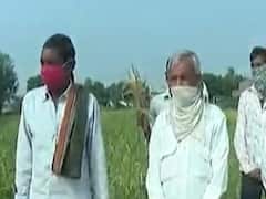 પાકની બરબાદી: કમોસમી વરસાદથી સાણંદના ખીચા ગામમાં ડાંગરનો પાક નિષ્ફળ, ખેડૂતોએ કરી સહાયની માંગ