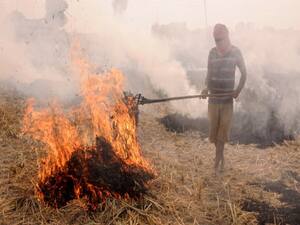 Delhi Pollution: Is only stubble burning responsible? | Master Stroke 