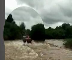 Sangli Rains | सांगलीत पुराच्या पाण्यात ट्रॅक्टर वाहून गेला, चालकासह दोघे बुडाले; एक थोडक्यात बचावला