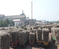 Kolhapur | ऊस दर निश्चित झाल्याशिवाय कारखाने सुरु होऊ देणार नाही; स्वाभिमानी शेतकरी संघटना आक्रमक