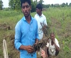 Maharashtra Rains | मराठवाड्यात परतीच्या पावसाचा कहर; शेतीचं नुकसान, बळीराजा चिंतेत