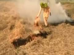 Greater Noida: Satellite being used to monitor farmers who burn parali