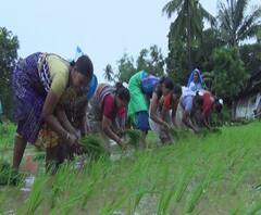 गोरगरीब शेतकऱ्यांच्या योजना सधन शेतकऱ्यांनीच लाटल्या; 11 हजार सधन शेतकऱ्यांकडून PM Kisan योजनेचा लाभ