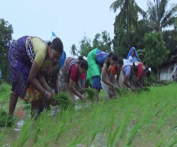 गोरगरीब शेतकऱ्यांच्या योजना सधन शेतकऱ्यांनीच लाटल्या; 11 हजार सधन शेतकऱ्यांकडून PM Kisan योजनेचा लाभ