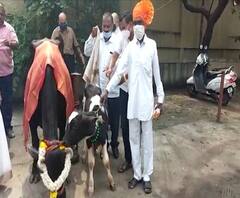 TOP 50 | गल्ली ते दिल्ली महत्त्वाच्या बातम्यांचा संक्षिप्त आढावा | बातम्यांचं अर्धशतक | 12 ऑक्टोबर 2020