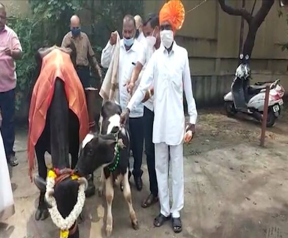 TOP 50 | गल्ली ते दिल्ली महत्त्वाच्या बातम्यांचा संक्षिप्त आढावा | बातम्यांचं अर्धशतक | 12 ऑक्टोबर 2020