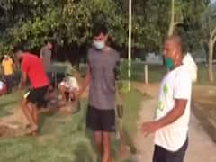 Bihar: Jahanabad's youth team planted more than 3,500 saplings during lockdown