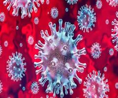 একটু স্বস্তি! ভারতে কমছে করোনায় দৈনিক মৃত্যু ও আক্রান্তের সংখ্যা