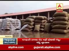 ભાવનગર માર્કેટયાર્ડમાં ખેડૂતોની મગફળી પલળી ગઈ, જુઓ વીડિયો