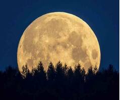 ৭টায় বাংলা (২): তিন বছর পর 'ব্লু মুন' আকাশে, লকডাউনে দূষণ কমায় শিলিগুড়ি-ধুপগুড়ি থেকে স্পষ্ট দেখা মিলছে কাঞ্চনজঙ্ঘার