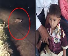 Ahmednagar Leopard Attack | पाथर्डीत बिबट्याने तीन वर्षांच्या मुलाला घरातून उचलून नेलं,मुलाचा मृत्यू