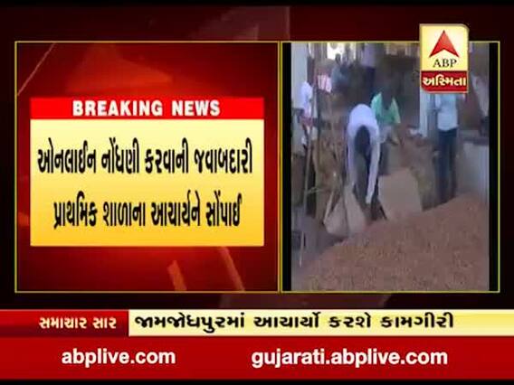 જામનગરઃ ટેકાના ભાવે મગફળી ખરીદી પ્રક્રિયામાં શિક્ષકોને સોંપાઇ જવાબદારી