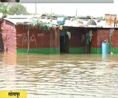 #MahaFloods सोलापूरमध्ये ऊस झोपला, बागा कोलमडल्या, सोयाबीन उध्वस्त..नवदाम्पत्याचा संसारही पाण्यात