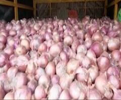 कांद्यानं केला वांदा, कांदा उत्पादकांचा लागवडीचा खर्चही निघेना...बळीराजाच्या डोळ्यात पाणी | स्पेशल रिपोर्ट