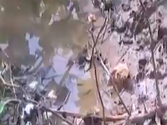 મહેસાણાઃ વિજાપુર તાલુકામાં વરસ્યો ધોધમાર વરસાદ, એરંડા અને કપાસના પાકને નુકસાન