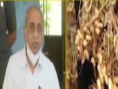 ગાંધીનગરઃ રાજ્યમાં કમોસમી વરસાદથી ખેડૂતોને થયેલા નુકસાનને લઇ રાજ્ય સરકારે શું આપ્યું મોટું નિવેદન?