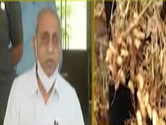 ગાંધીનગરઃ રાજ્યમાં કમોસમી વરસાદથી ખેડૂતોને થયેલા નુકસાનને લઇ રાજ્ય સરકારે શું આપ્યું મોટું નિવેદન?