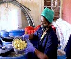 Special Report | आवळ्यापासून विविध उत्पादनांची निर्मिती, 10 हजारांपासून सुरु केलेला उद्योग 35 लाखांवर