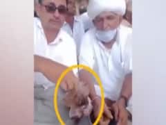 Rajasthan: वोटरों को लुभाने के लिए खुलेआम परोसी जा रही अफीम ! देखिए पूरा मामला