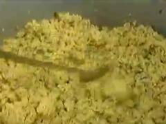 ખીચડી કૌભાંડઃ સુરત મનપા કચેરીએ કઢી ખીચડી બનાવી કોગ્રેસે કર્યો વિરોધ