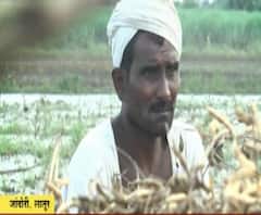 अतिवृष्टीमुळे उभं पीक आडवं, काहींच्या शेतजमिनींचं तळंच झालं, जगायचं कसं हा बळीराजासमोर प्रश्न #Latur