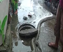 Pune Rain Update | पुण्यात नागरिकांनी रात्र काढली जागून, घरातून पाणी काढण्याचं काम सुरु