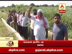 પાટણના હારીજ તાલુકાના ખેડૂતોની પાણી આપવાની માંગ, જુઓ વીડિયો 